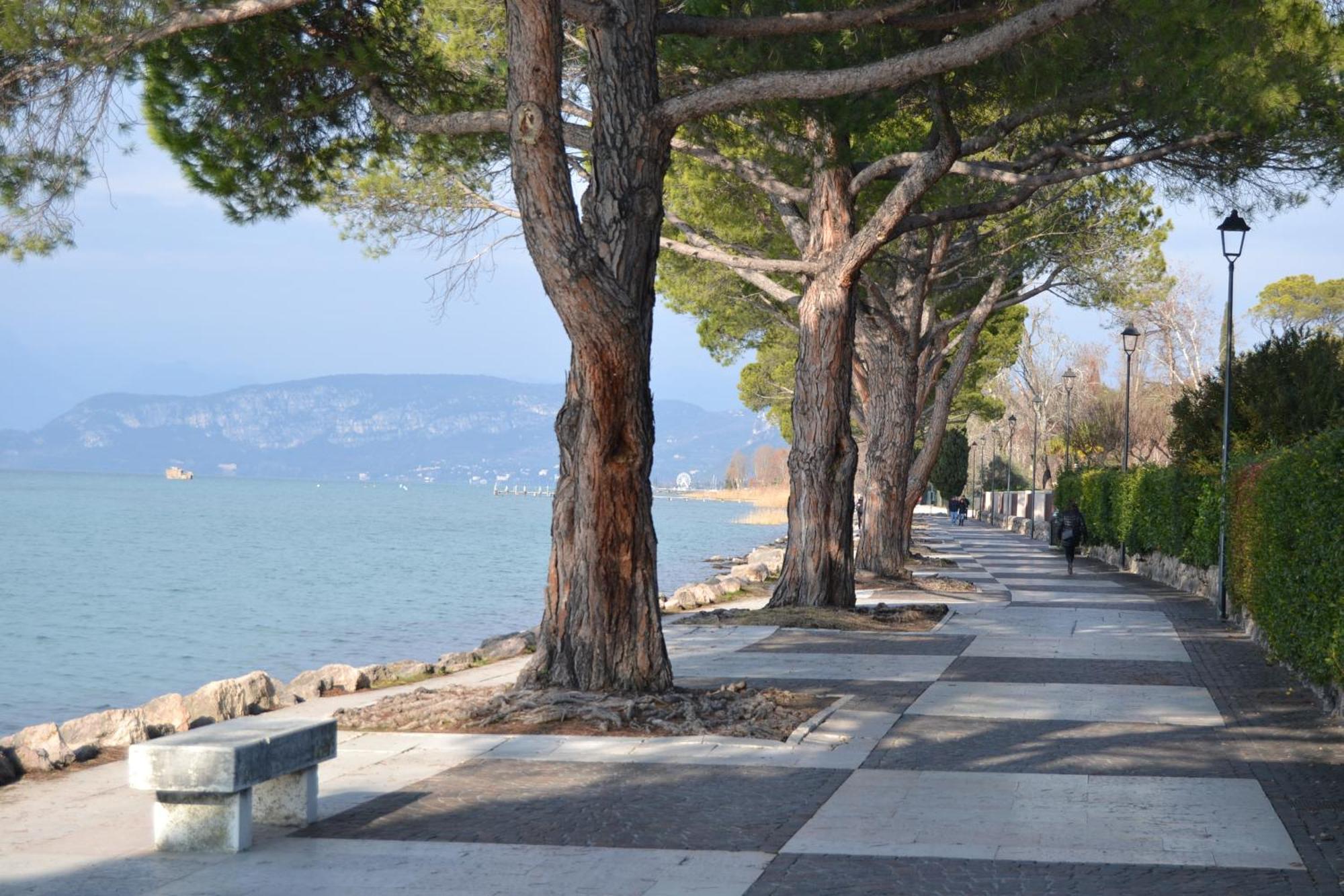 Gardenia - A 50 M Dal * Lazise